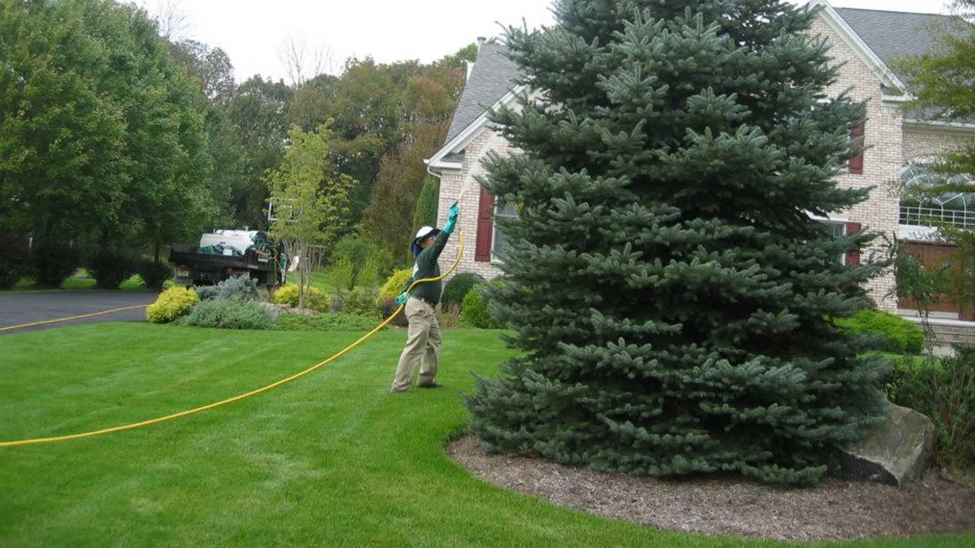 The Lawn Techs employee treating the lawn and trees in Berkeley Heights, NJ.