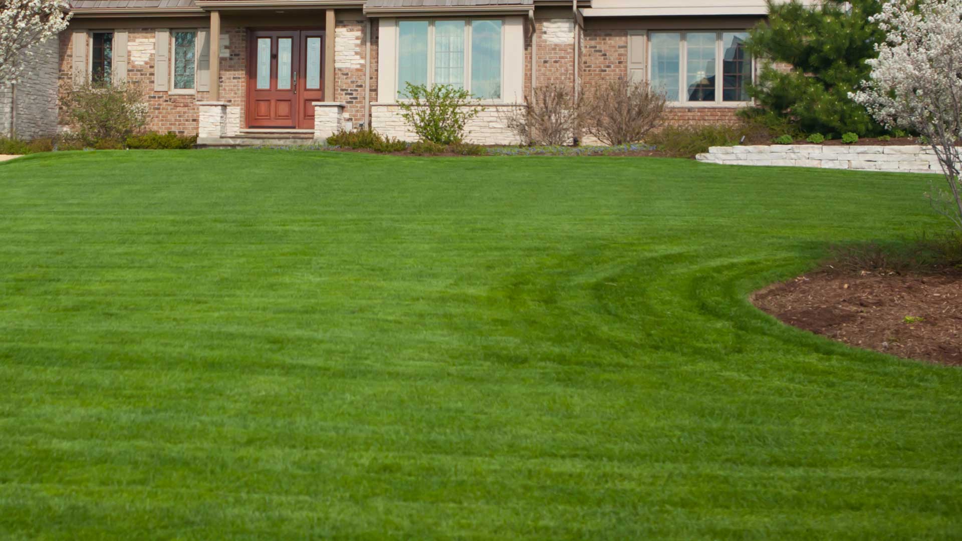 A beautiful lawn, cared for by The Lawn Techs in New Providence, NJ.