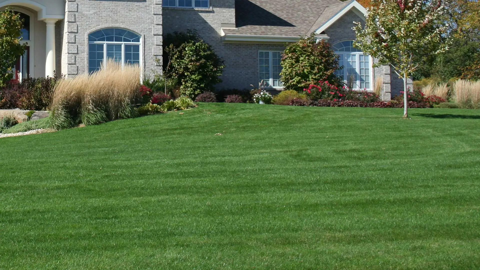 Lawn care services at a residential property in Berkeley Heights, NJ.