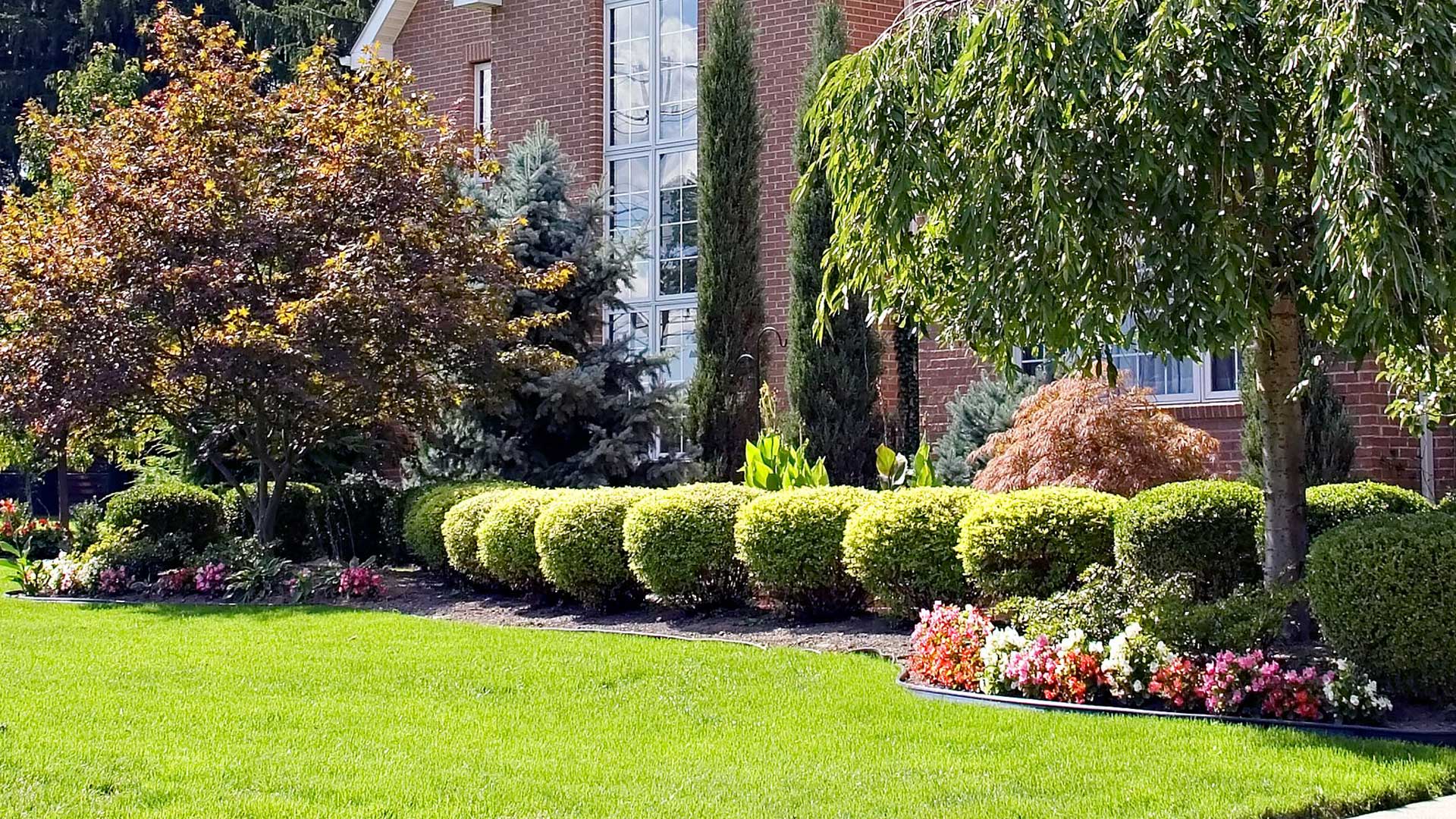 Landscaping with healthy plants that are properly cared for in New Providence, NJ.