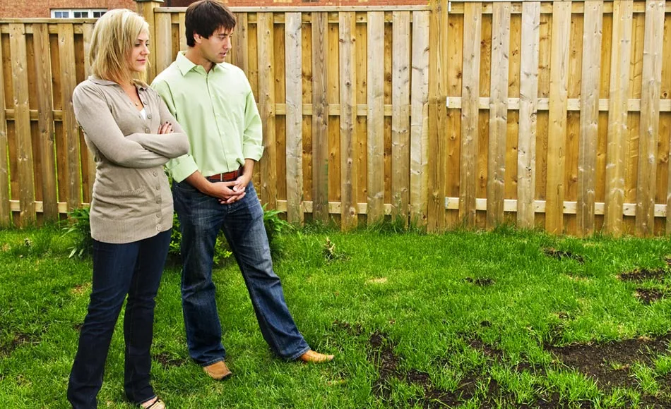 7 Reasons You Shouldn't Seed Your Lawn During Spring
