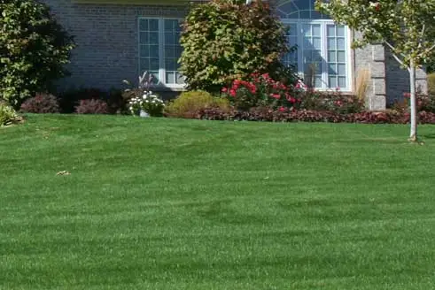 Lawn in Berkeley Heights, NJ with lawn care services from The Lawn Techs.
