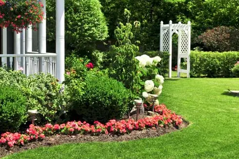 Trees & Shrubs Berkeley Heights, NJ with plant health care services from The Lawn Techs.