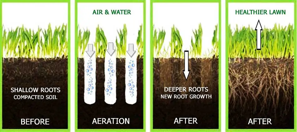 Infographic showing the benefits of aeration.