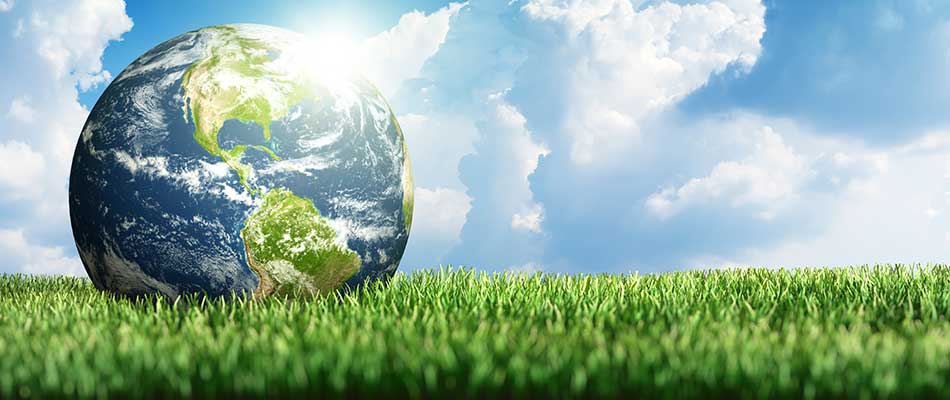 Organic lawn care services near me.