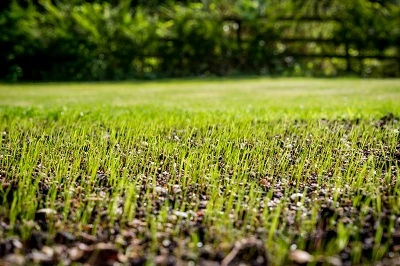 Lawn Renovations and Repair Services by The Lawn Techs