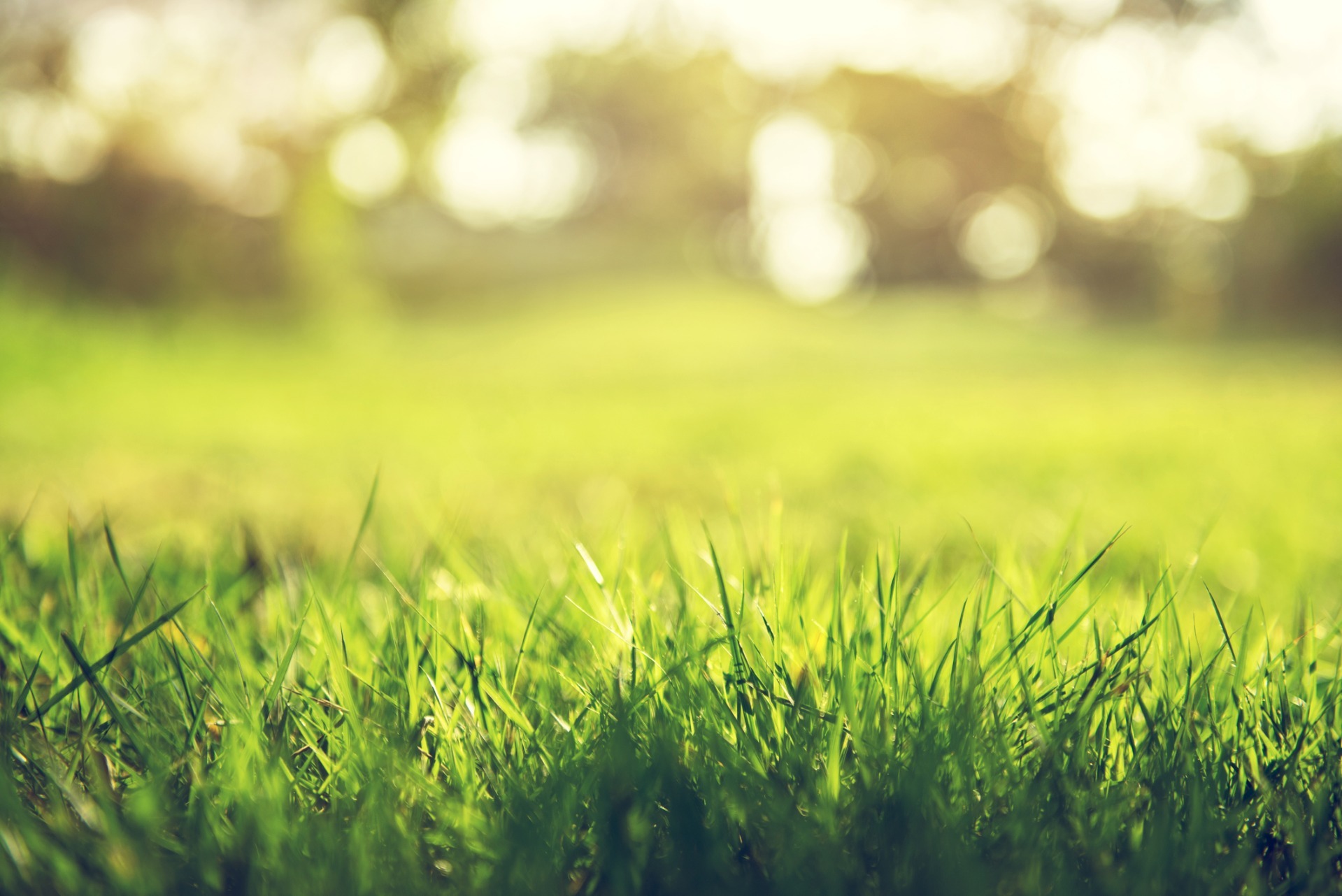 Harding NJ Lawn Care Services