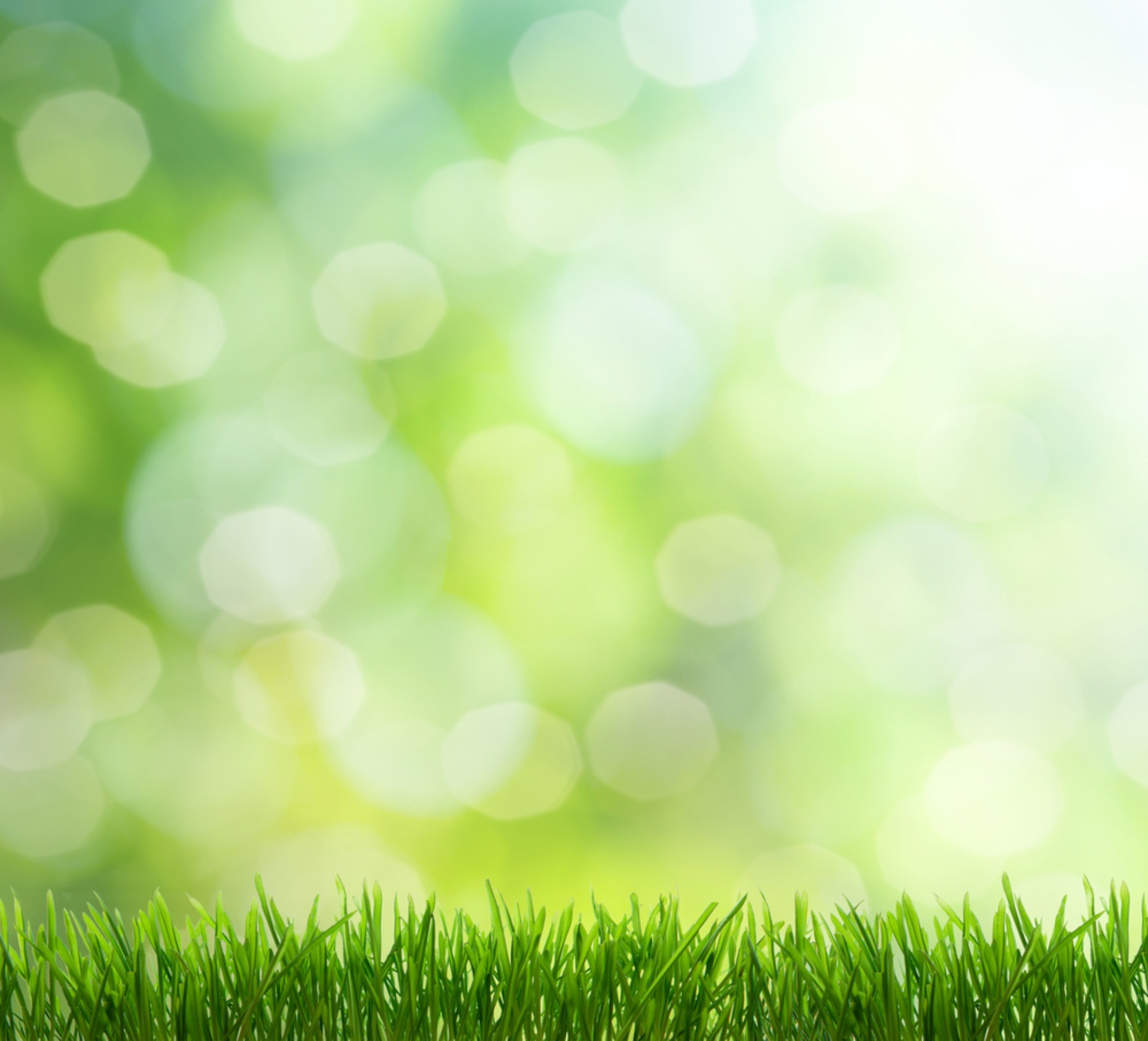 #1 Lawn Care Service Company in Stirling NJ