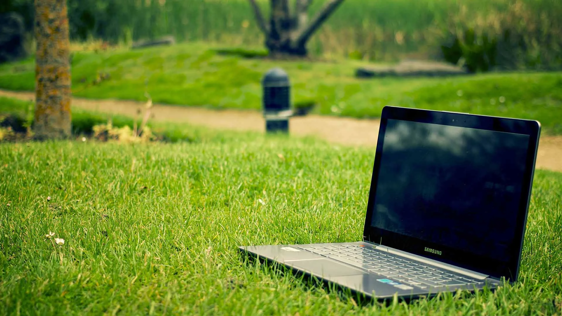 Computer sitting in green lawn for blogging.