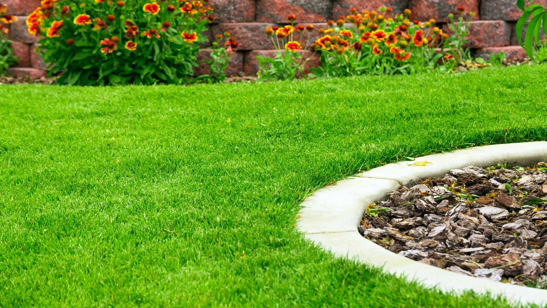 Lawn Fertilization and Weed Control Services in Gillette NJ